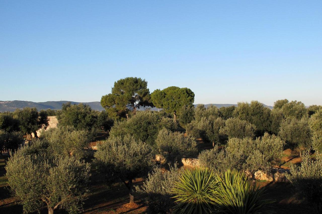 Boutique Hotel Masseria Sottomasi Savelletri Kültér fotó