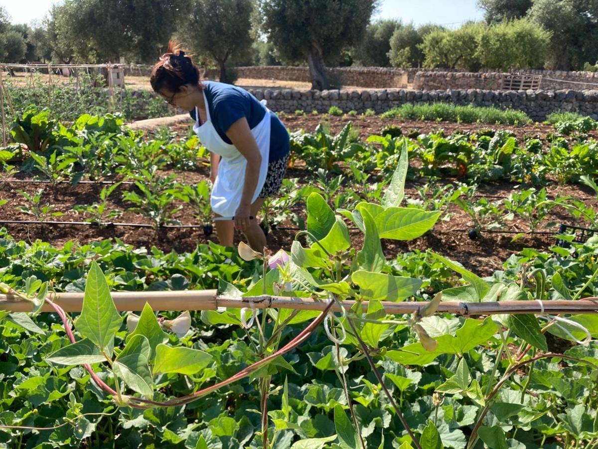 Boutique Hotel Masseria Sottomasi Savelletri Kültér fotó