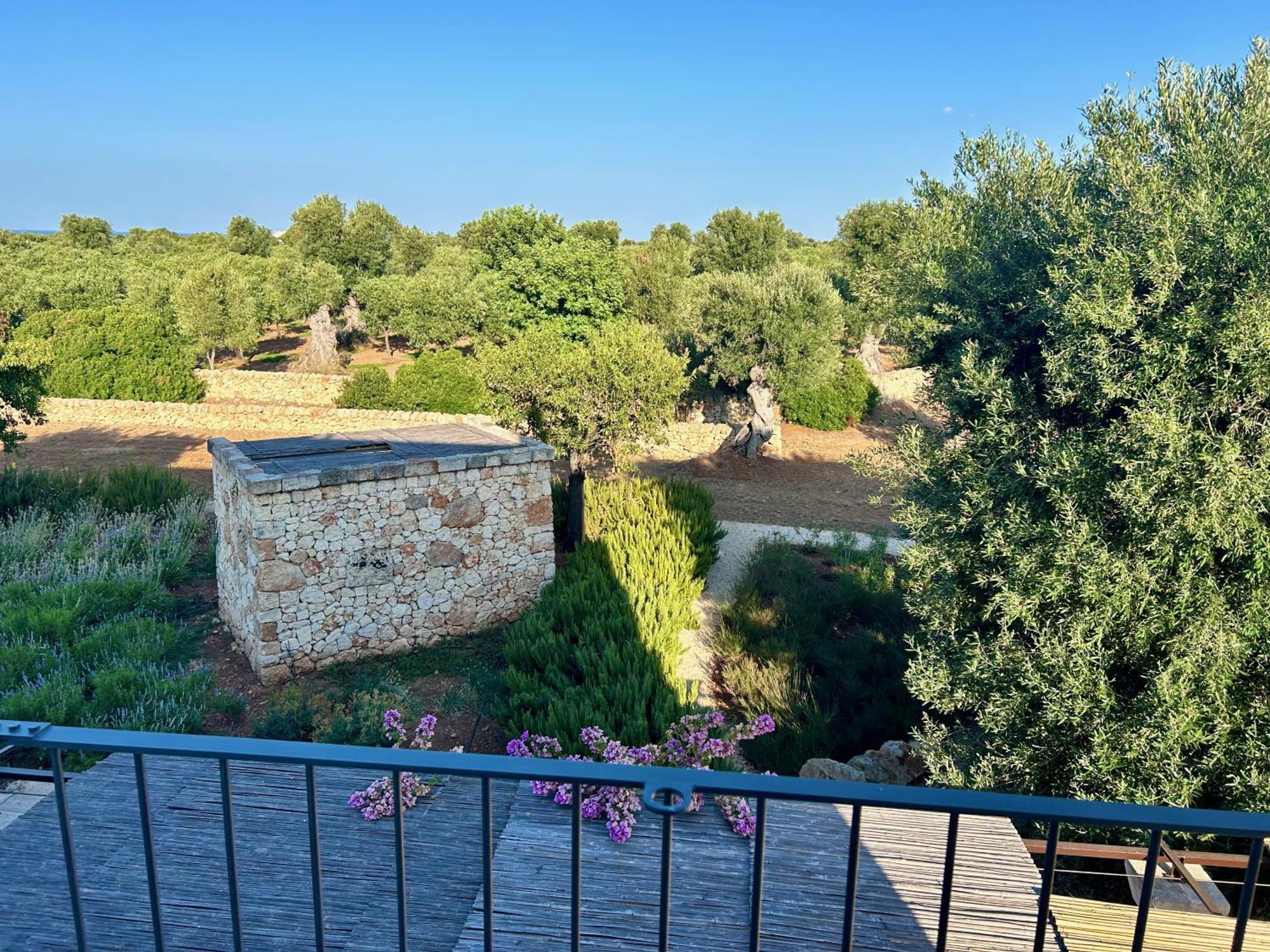 Boutique Hotel Masseria Sottomasi Savelletri Kültér fotó