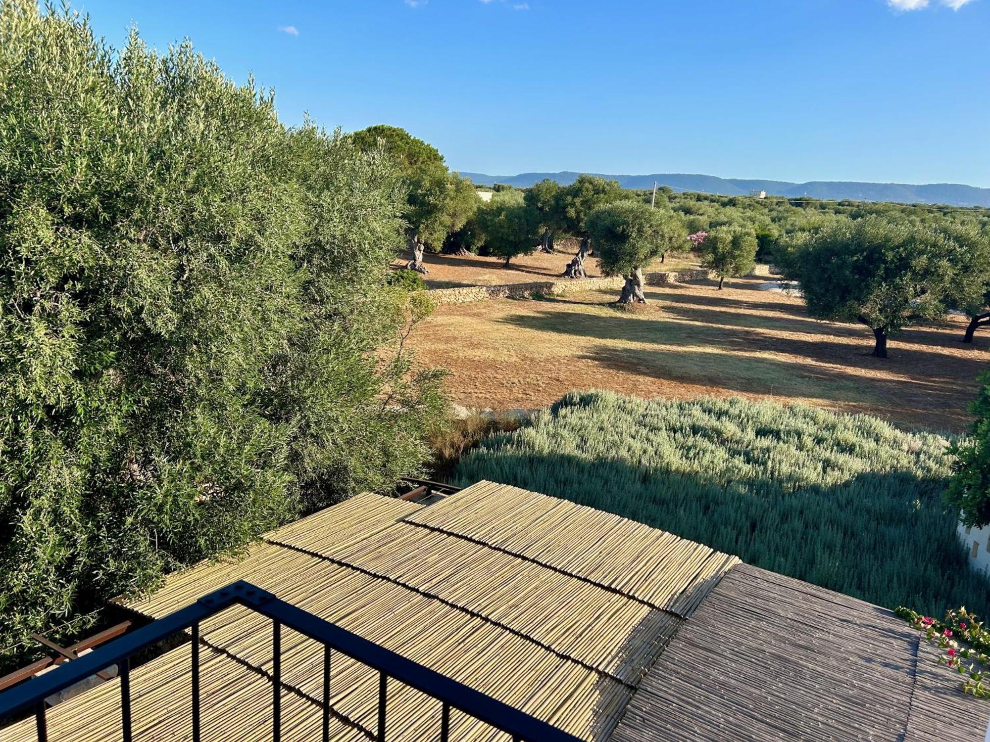 Boutique Hotel Masseria Sottomasi Savelletri Kültér fotó