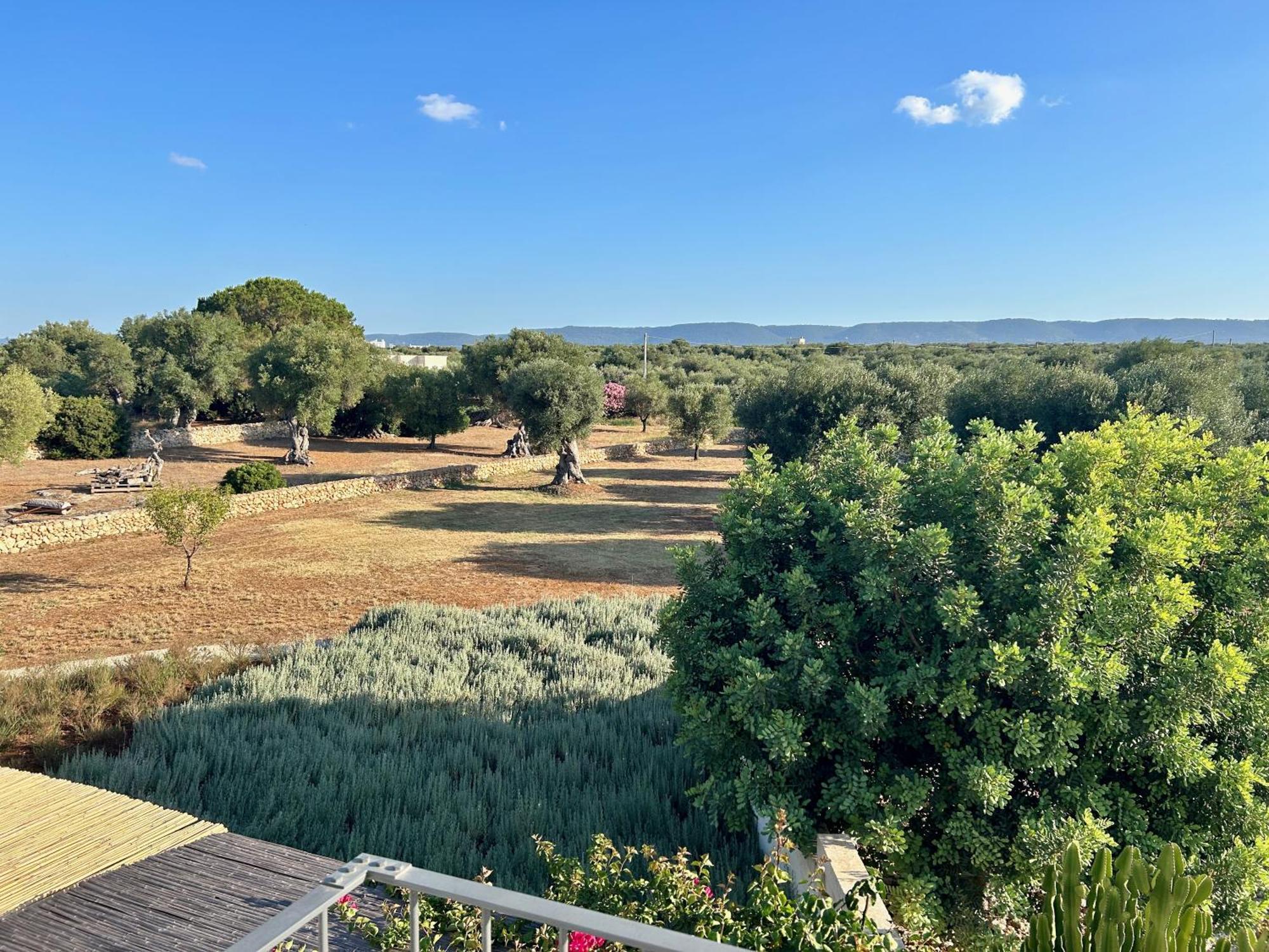 Boutique Hotel Masseria Sottomasi Savelletri Kültér fotó