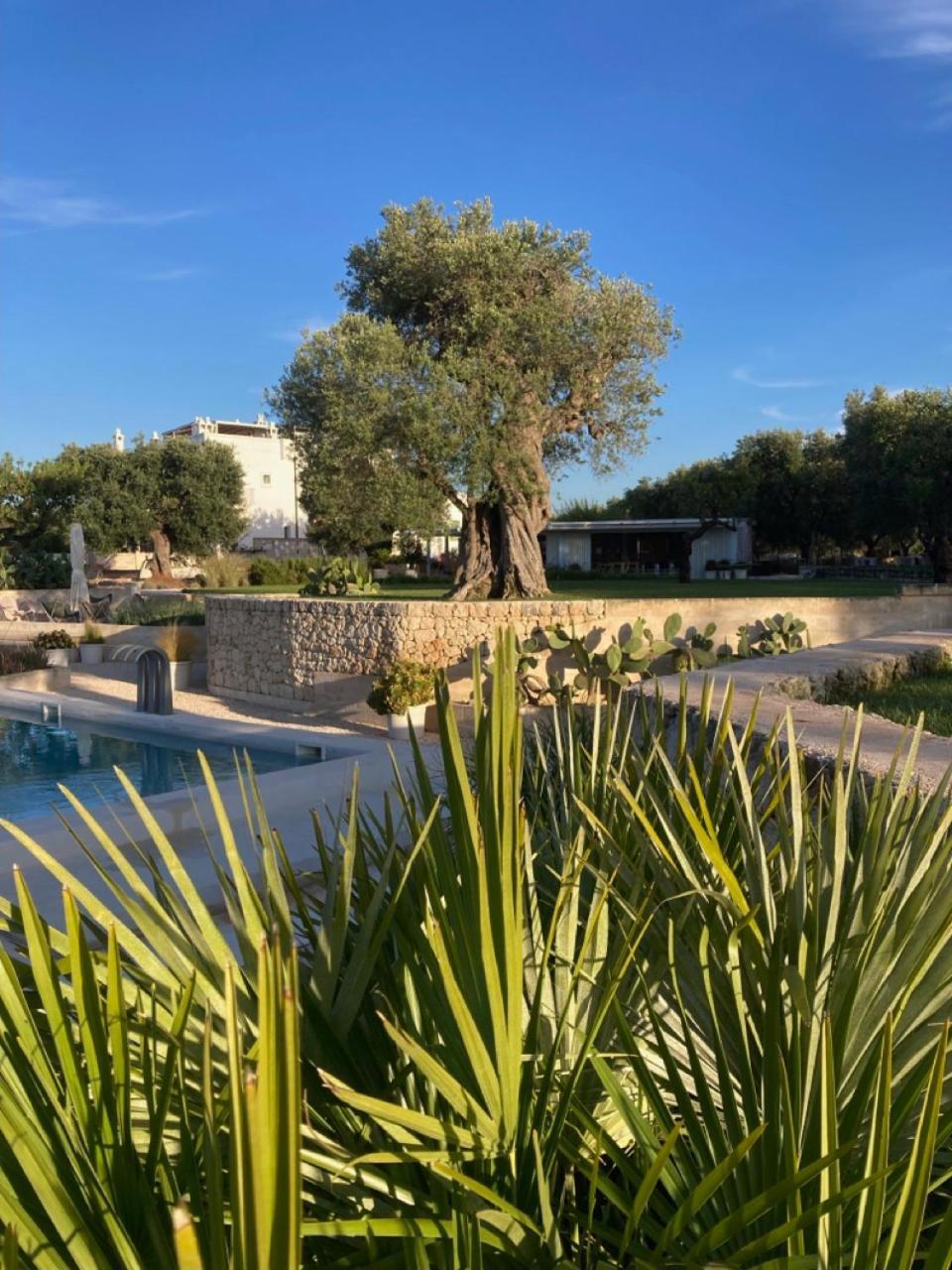 Boutique Hotel Masseria Sottomasi Savelletri Kültér fotó