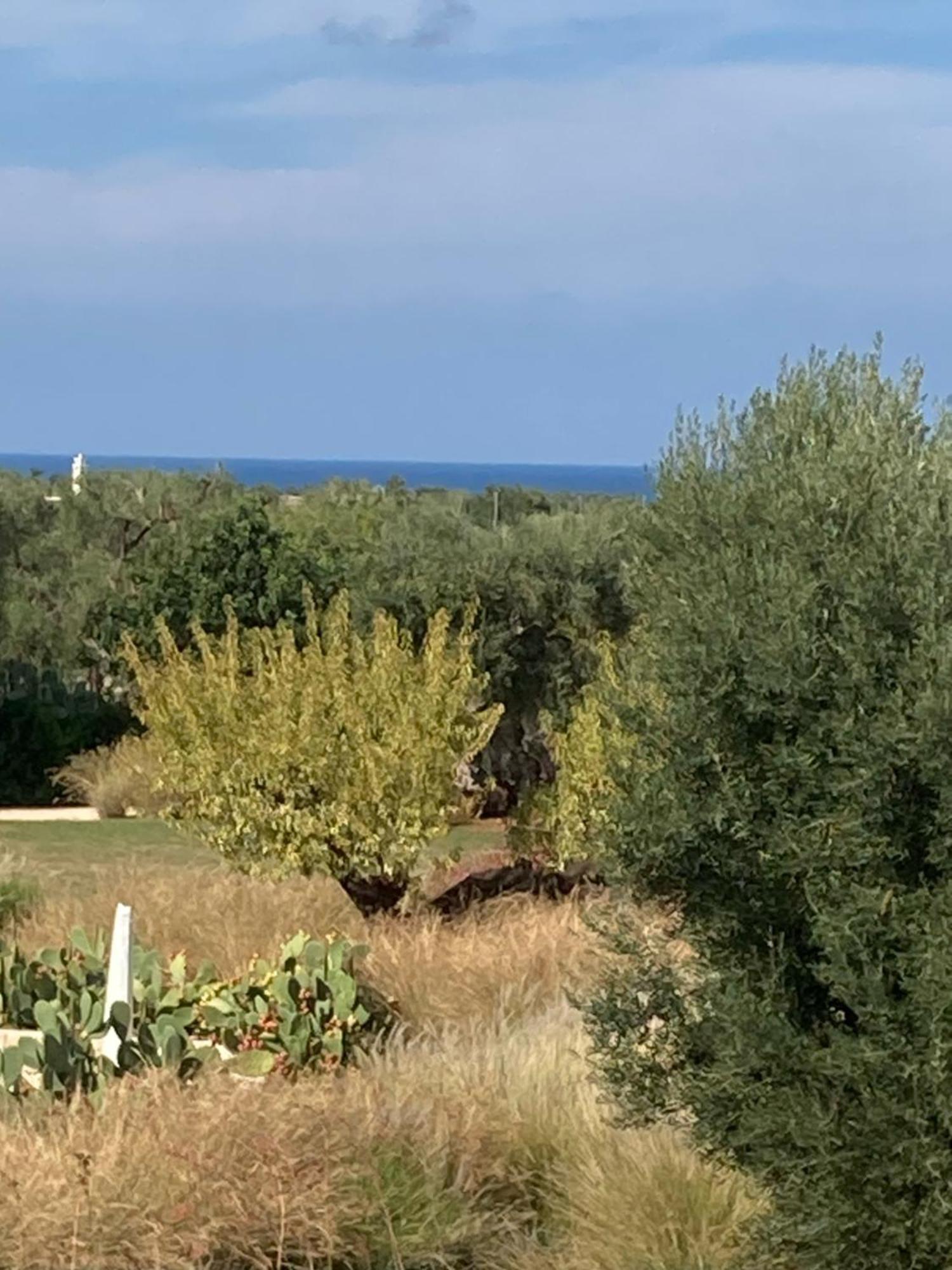 Boutique Hotel Masseria Sottomasi Savelletri Kültér fotó